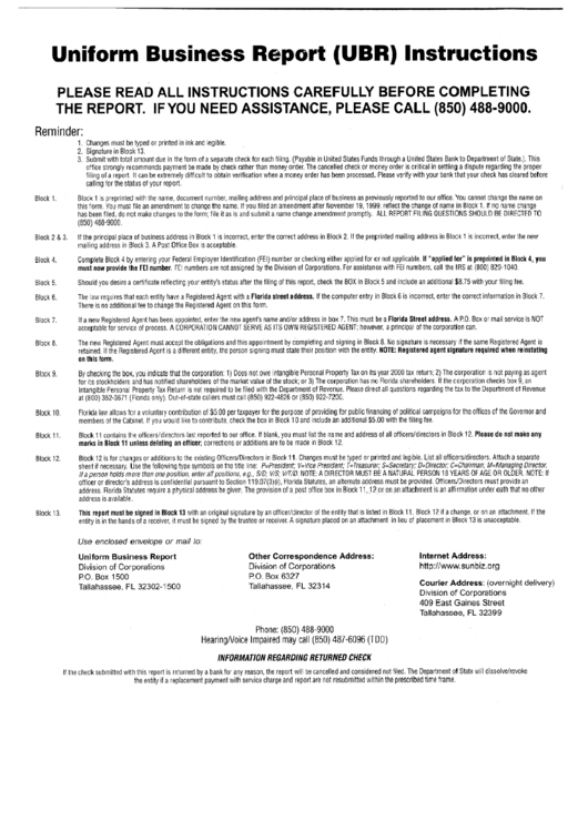Uniform Business Report (Ubr) Instructions - State Of Florida Printable pdf