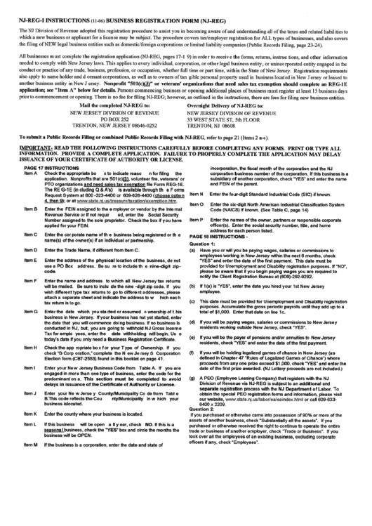 Nj-Reg-I Instructions (11-06) Business Registration Form (Nj-Reg) - State Of New Jersey Printable pdf