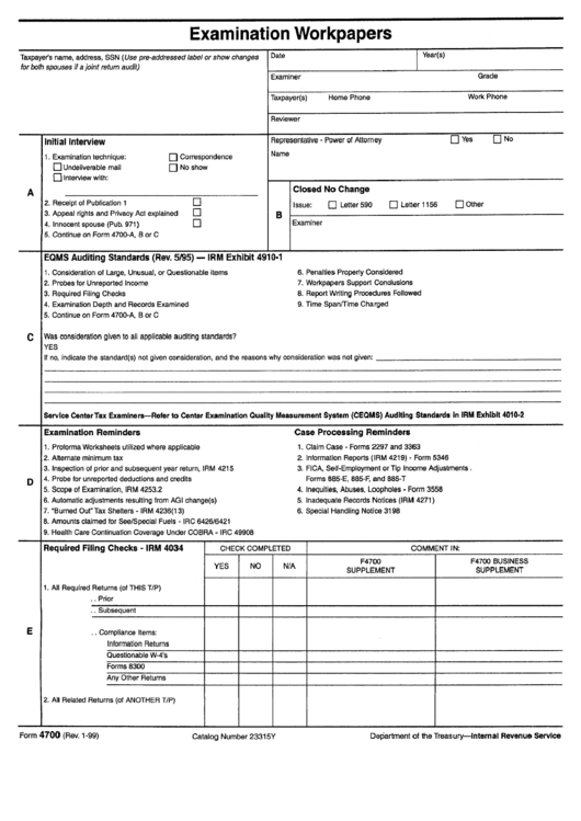 Form 4700 - Examination Workpapers Form - Department Of The Treasury Printable pdf