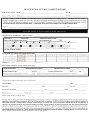 Verification Of Employment Income Form