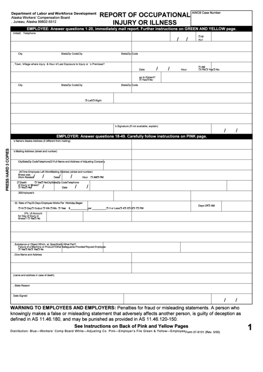 Form 07-6101 - Report Of Occupational Injury Or Illness Printable pdf