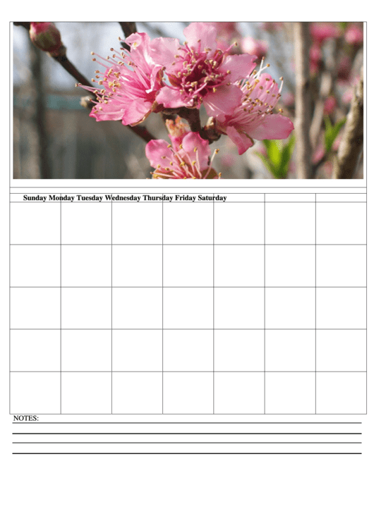 Pink Flowers Blank Monthly Calendar Template Printable pdf