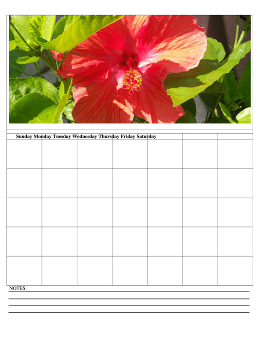 Hibiscus Blank Monthly Calendar Template Printable pdf