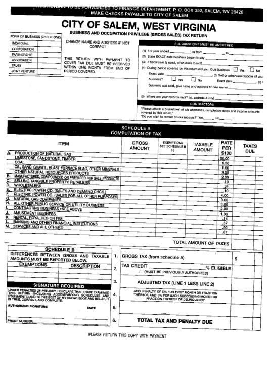 Business And Occupation Privilege (Gross Sales) Tax Return Form - City Of Salem Printable pdf