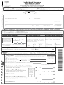 Form D-400 - Individual Income Tax Return - 2009 Printable pdf