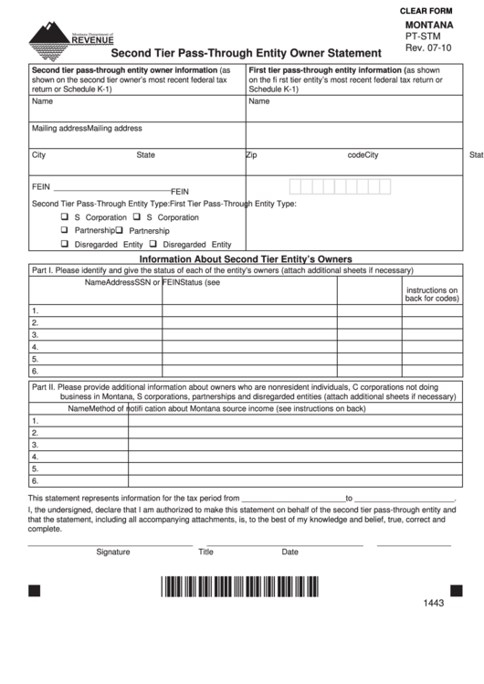 Fillable Form Pt-Stm - Second Tier Pass-Through Entity Owner Statement Printable pdf