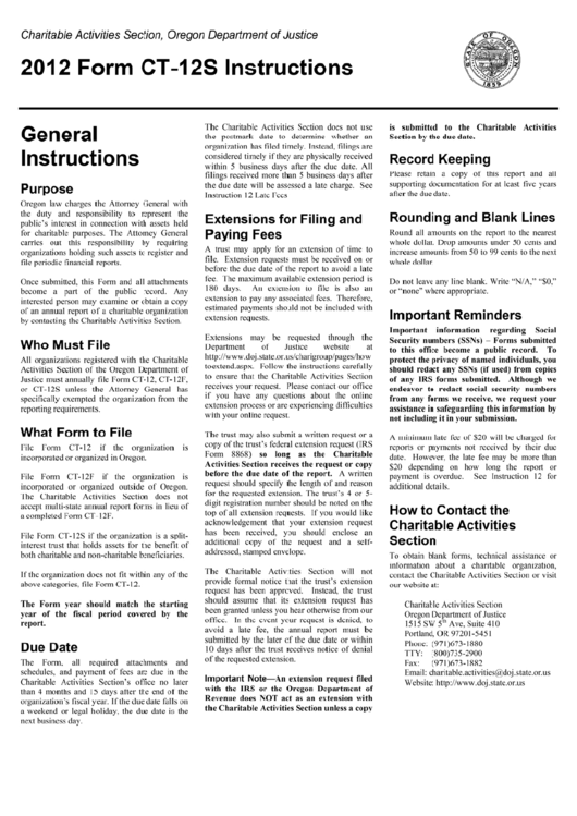 Form Ct-12s Instructions - 2012 Printable pdf