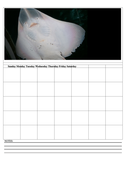 Blank Manta Ray Monthly Calendar Template Printable pdf