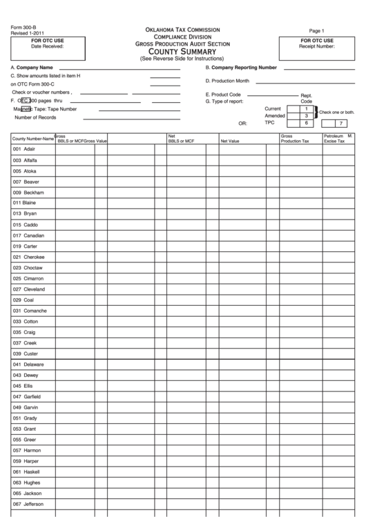 Form 300-B - County Summary - 2011 printable pdf download