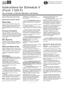 Instructions For Schedule V (Form 1120-F) - 2009 Printable pdf