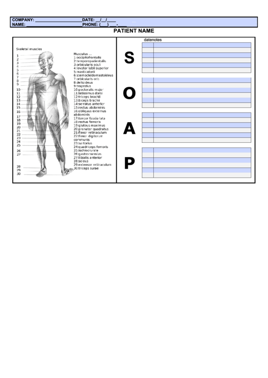 Soap Note With Body Printable pdf