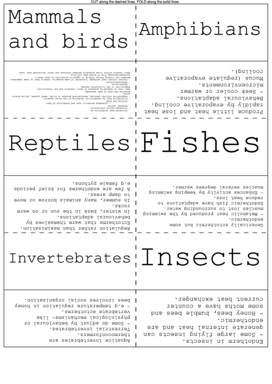 Flash Card Template printable pdf download