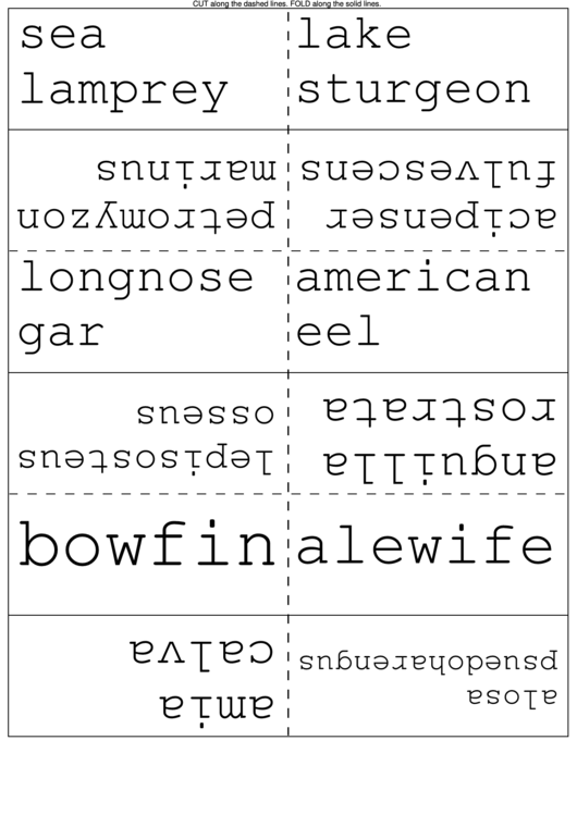Flash Card Template printable pdf download