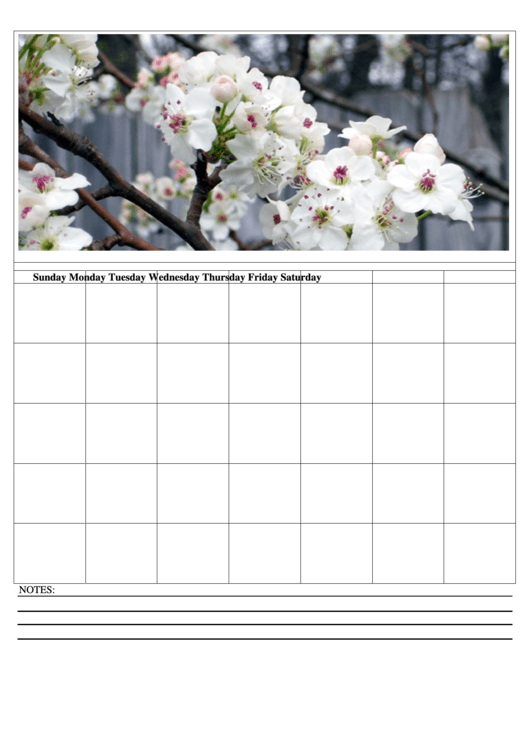 Flowers 7 Day Weekly Planner Template Printable pdf