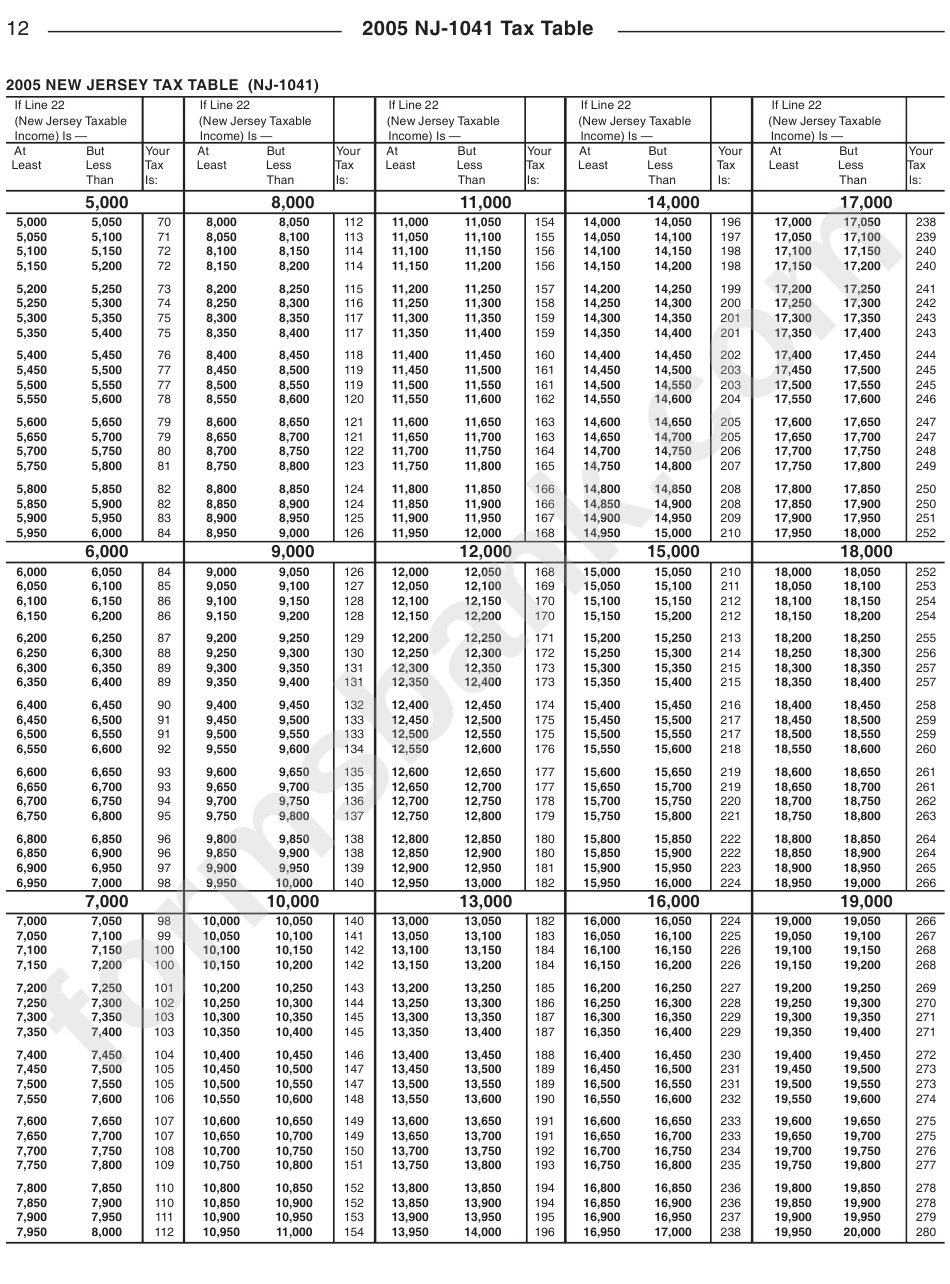 Form Nj-1041 Instructions - 2005