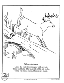 White-Tailed Deer Coloring Sheet Printable pdf