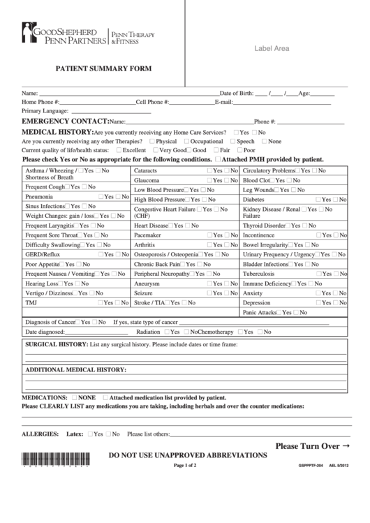 Patient Summary Form Printable pdf