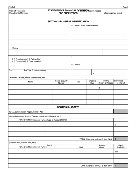 Form Ppa-Bus - Statement Of Financial Condition For Businesses Printable pdf