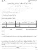 Foreign Professional Corporation Annual Report Form
