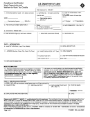 Form Eta-9062 - Conditional Certification Work Opportunity And Welfare-to-work Tax Credits - 2002