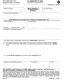 Form Eta-9065 - Agency Declaration Of Verification Results (optional) - 2002