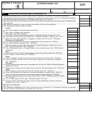 Schedule O Individual - Alternate Basic Tax - 2010