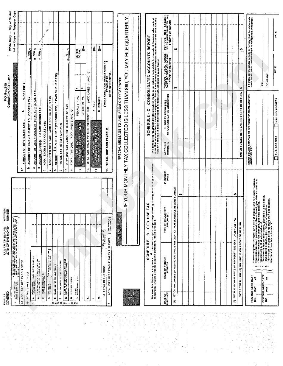 Sales / Use Tax Return - Central City