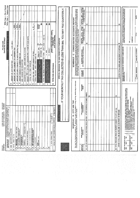 Sales / Use Tax Return - Central City Printable pdf