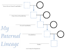 Paternal Lineage Family Tree Template