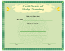 Baby Naming Certificate Template