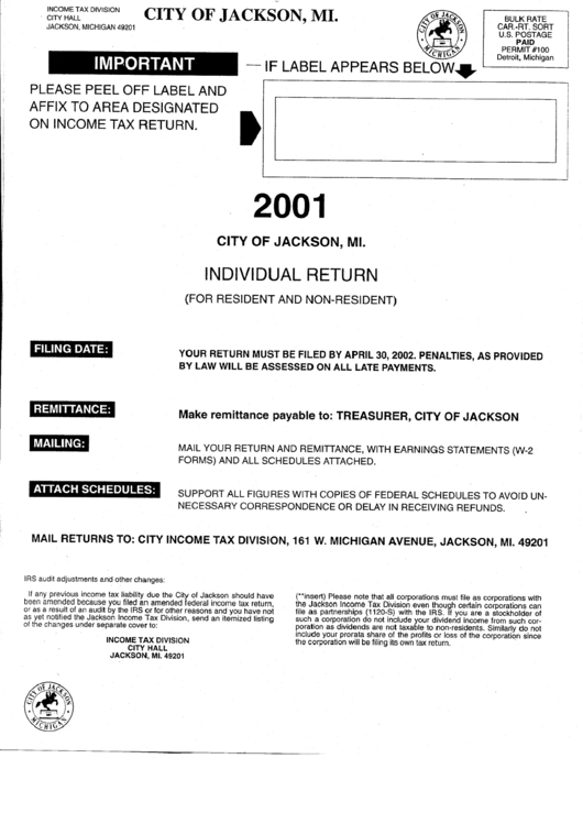 Individual Return Instructions (2001) - City Of Jackson - Michigan Printable pdf