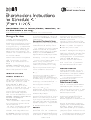 Shareholder's Instructions For Schedule K-1 (form 1120s) - 2003