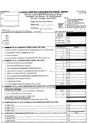 Form Ag990-Il - Illinois Charitable Organization Annual Report - 1999 Printable pdf