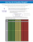 Body Mass Index Chart & Calculator