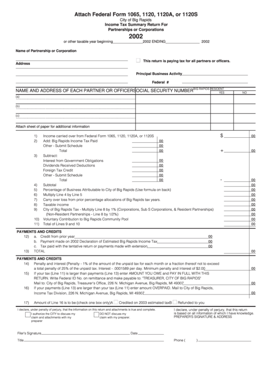Income Tax Summary Return For Partnerships Or Corporations - City Of Big Rapids - 2002 Printable pdf