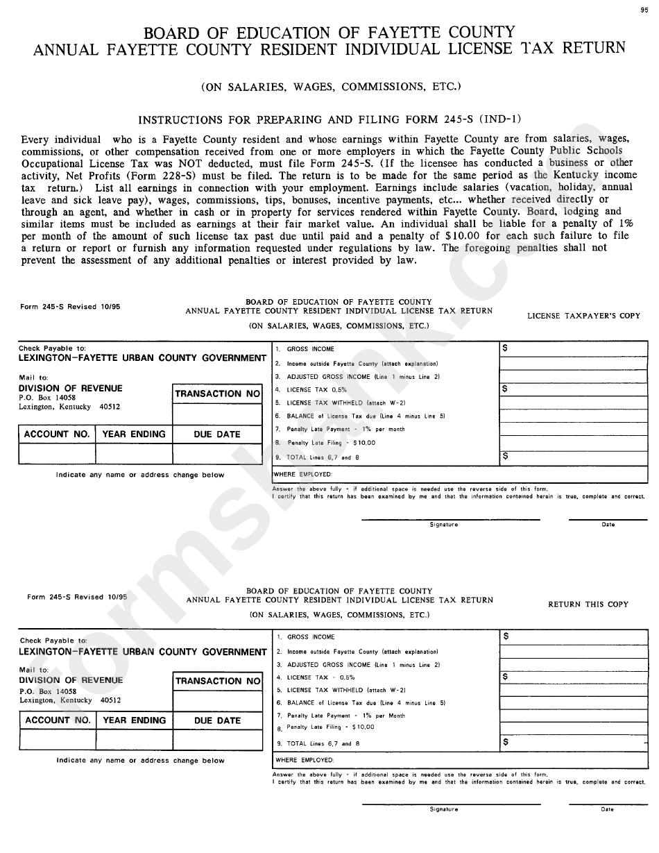 Form 245-S - Board Of Education Of Fayette County Annual Fayette County Resident Individual License Tax Return 1995