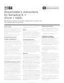 Shareholder's Instructions For Schedule K-1 (form 1120s) - 2004