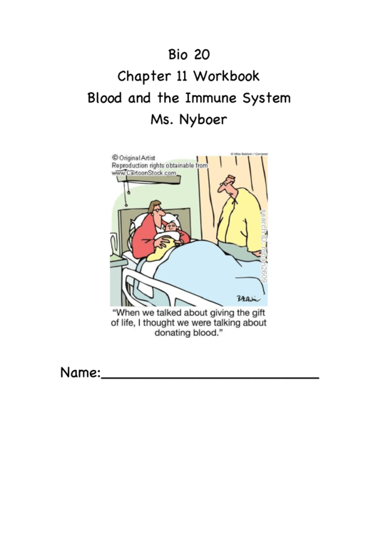 Workbook Blood And The Immune System Printable pdf