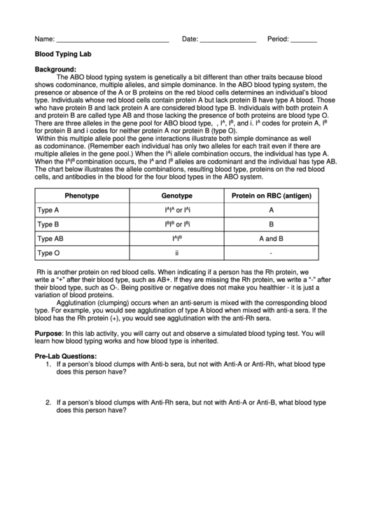 Blood Typing Lab Printable Pdf Download