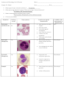 Unit 10 Review Chapter 10 - Blood - Anatomy And Physiology Test With Answers
