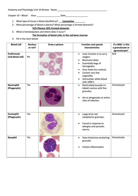 Unit 10 Review Chapter 10 - Blood - Anatomy And Physiology Test With Answers