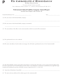 Professional Limited Liability Company Annual Report Form - The Commonwealth Of Massachusetts