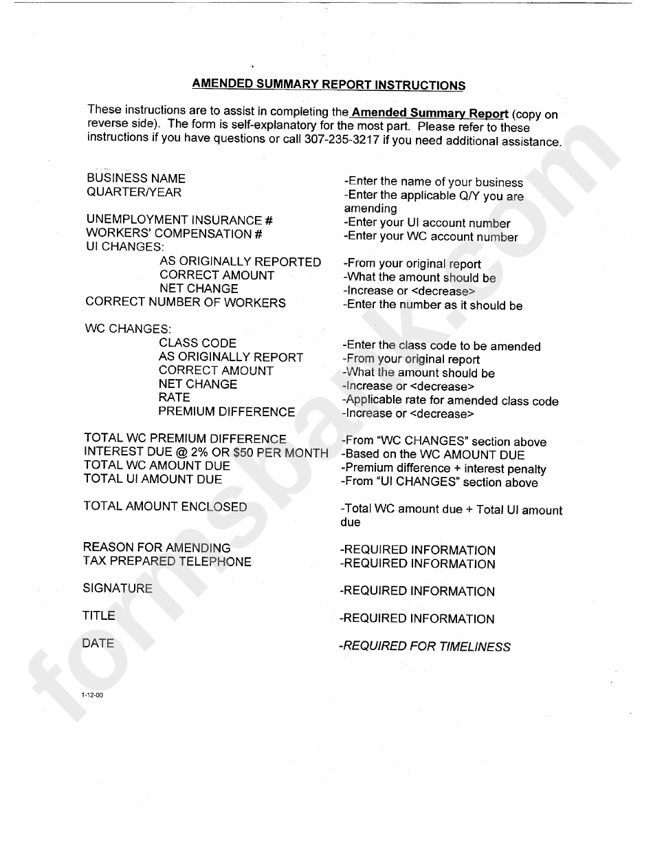 Amended Summary Report Instructions