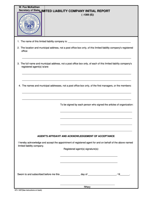 Form 973 - Limited Liability Company Initial Report Printable pdf