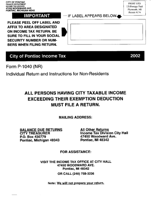 Form P-1040(Nr) - Individual Return Instructions For Non-Residents - 2002 Printable pdf