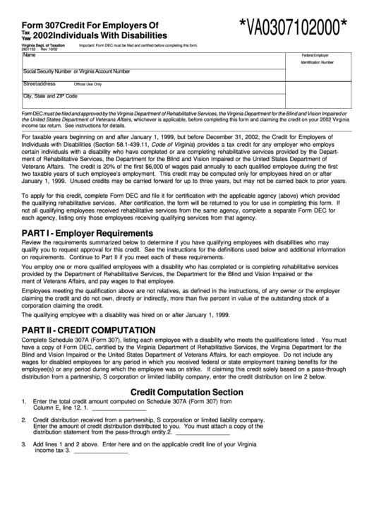 Form 307 - Credit For Employers Of Individuals With Disabilities - 2002 Printable pdf