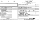 Sales/use Tax Return Form - City Of Montrose