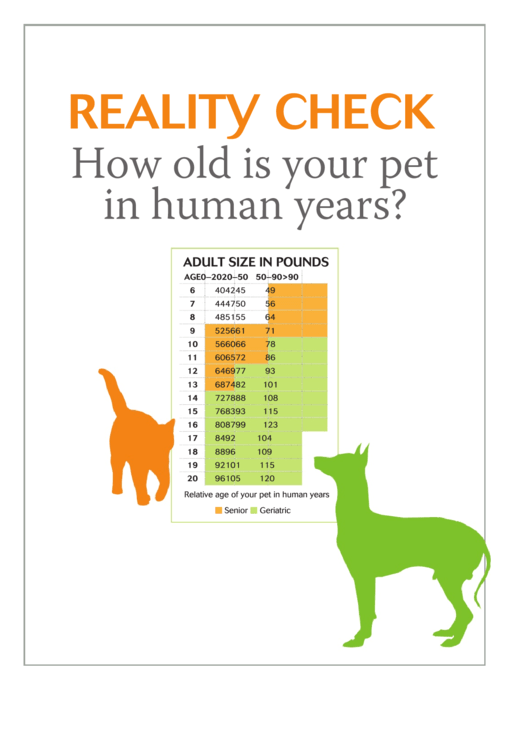 Dogs And Cats Life Expectancy Chart Printable pdf