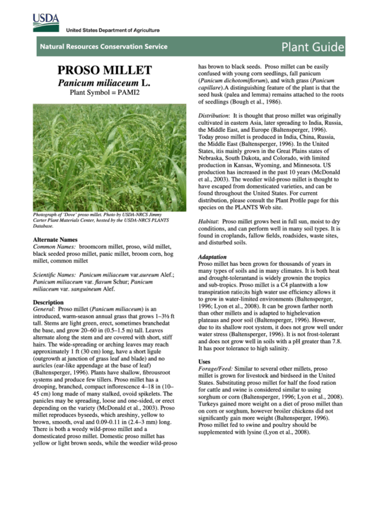 Plant Guide - Proso Millet Panicum Miliaceum L. - U.s. Department Of Agriculture Printable pdf