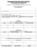 Organization And First Report Stock Or Non-stock Corporations Form - 1999